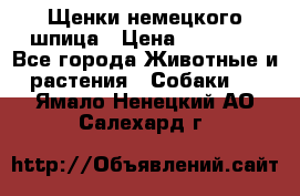 Щенки немецкого шпица › Цена ­ 20 000 - Все города Животные и растения » Собаки   . Ямало-Ненецкий АО,Салехард г.